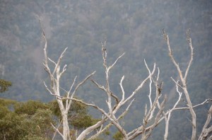 Views from the office